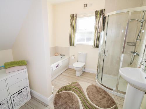 a bathroom with a shower toilet and a sink at Seaview in Coleraine