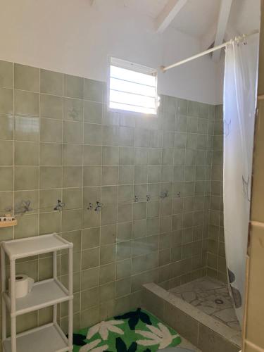 Koupelna v ubytování Flamboyant