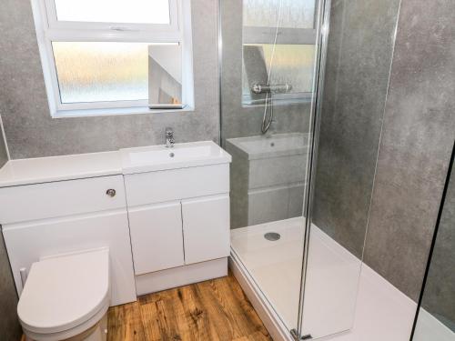 a bathroom with a shower and a toilet and a sink at Glebe Cottage in Dumfries