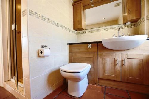 a bathroom with a white toilet and a sink at Beach Retreat in Aberporth