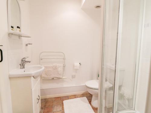 ein weißes Badezimmer mit Toilette und Dusche in der Unterkunft 3 Rose Cottages in Looe