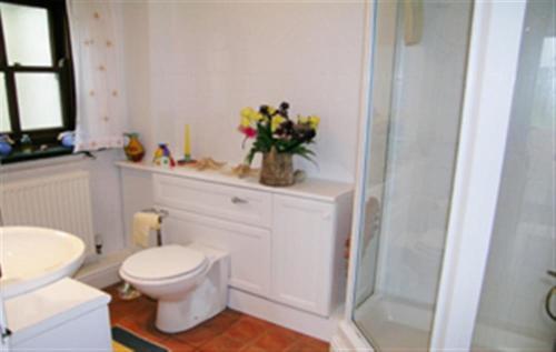 a bathroom with a toilet and a sink and a shower at Cockshead Cottage in Saint Dogmaels