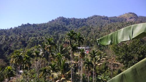 Landskap semula jadi dekat dengan homestay