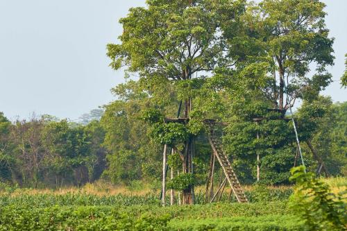 a tree house in the middle of a field at Amuna Ayurveda and Wellness Retreat in Sigiriya