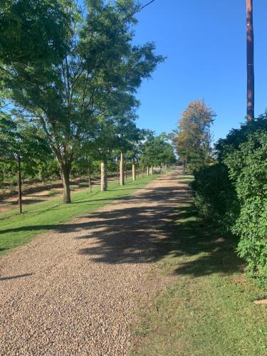 a path in a park with trees and grass at Gerald's Gift Guest House in Addo