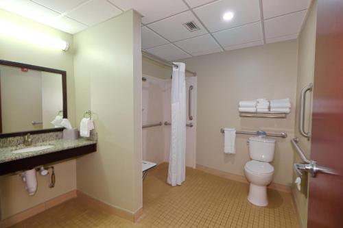 a bathroom with a toilet and a sink and a mirror at Holiday Inn Express Pittsburgh West - Greentree by IHG in Pittsburgh