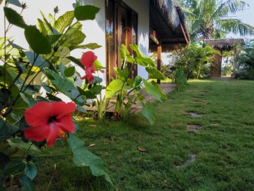 a red flower on a bush in front of a house at Nanas Homestay in Gili Islands