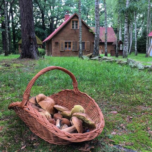 Taman di luar Zakatek Kliczkow