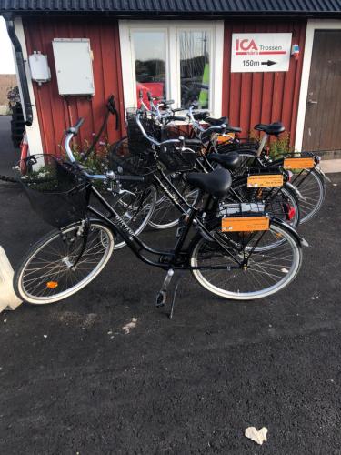 Jízda na kole v ubytování Pensionat Haga Öland nebo okolí