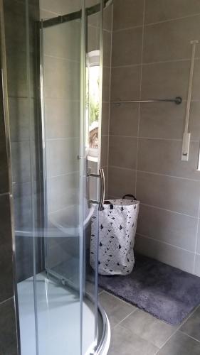 La salle de bains est pourvue d'une douche avec une porte en verre. dans l'établissement Neue Fewo in perfekter Lage (Limburg a. d. Lahn), à Limburg an der Lahn