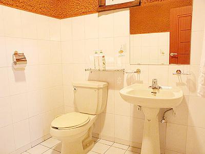 Kupatilo u objektu Angkure Pension