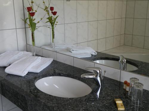 a bathroom counter with a sink and a mirror at Landgasthof Wellmann in Markt Taschendorf