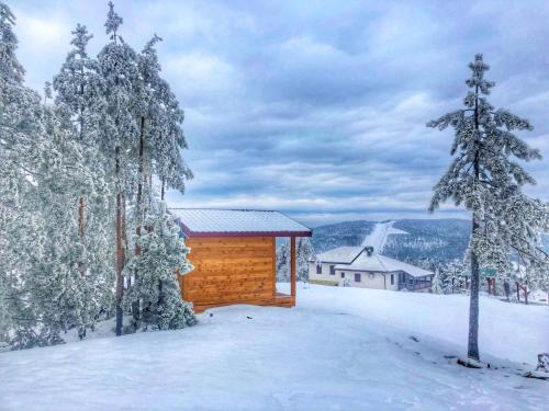 a wooden cabin in the snow with trees at Apartmani Smigic Divcibare in Divčibare