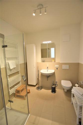 a bathroom with a shower and a sink and a toilet at Ferienwohnung-Moin in Hohwacht