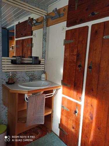 a bathroom with wooden cabinets and a sink at Les abris de la hulotte in Anould