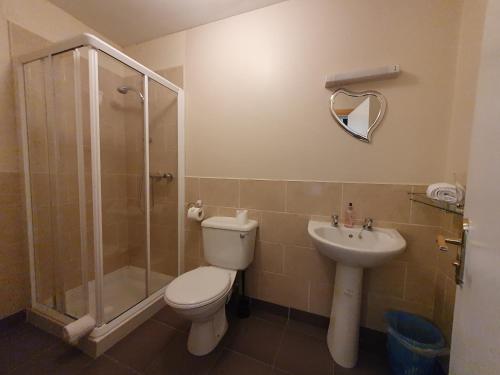 a bathroom with a toilet and a shower and a sink at The Bowers Bar & Restaurant in Ballinrobe