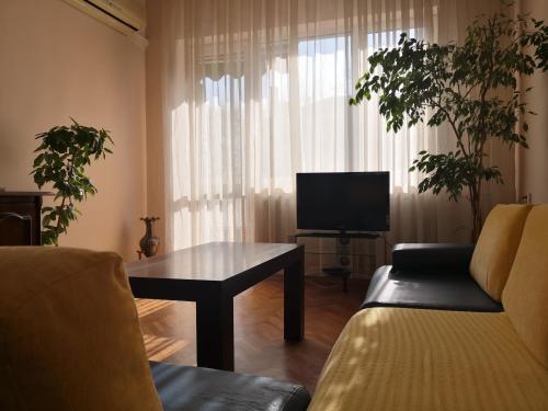 sala de estar con sofá, mesa y TV en Maritza Apartment, en Plovdiv