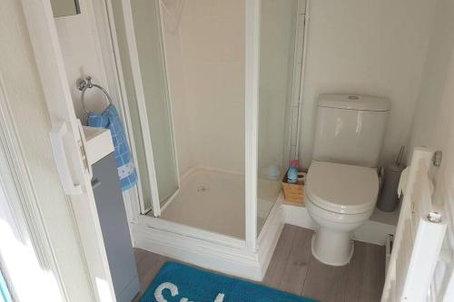 a small bathroom with a toilet and a shower at The Garden Room in Chichester