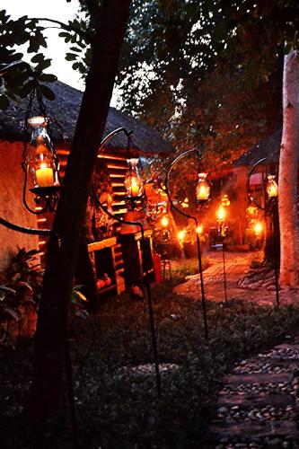 Jardín al aire libre en Wielewaal Bush Lodge