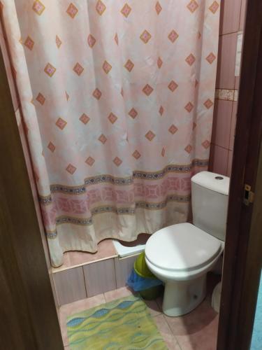 ein Bad mit einem WC und einem Duschvorhang in der Unterkunft Готель Турист in Mohyliv-Podilʼsʼkyy