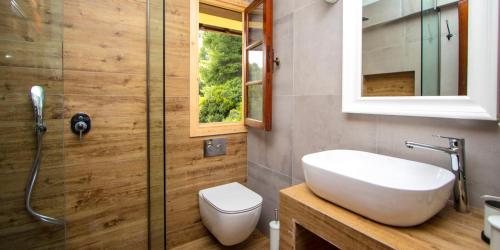 a bathroom with a sink and a toilet and a shower at Willow Sea View Villa, Kriopigi in Kriopigi