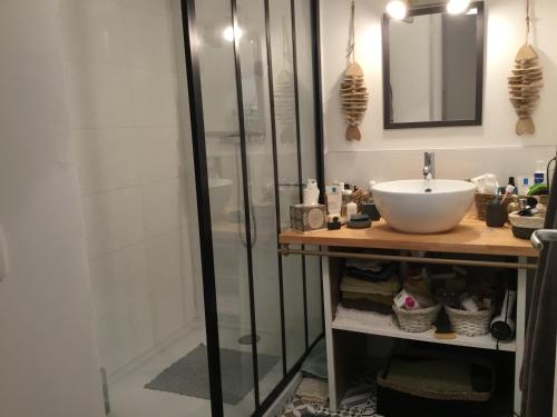 une salle de bain avec un lavabo et une douche dans l'établissement Charmant T3 à proximité du Bassin, à Arès