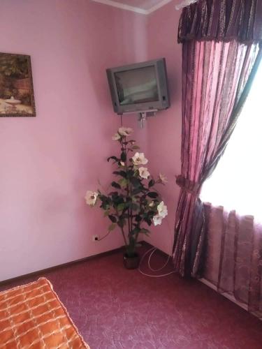Готель Туристにあるテレビまたはエンターテインメントセンター