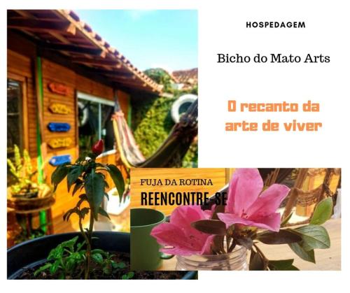 Foto da galeria de Hospedagem Bicho do Mato Arts em Brotas