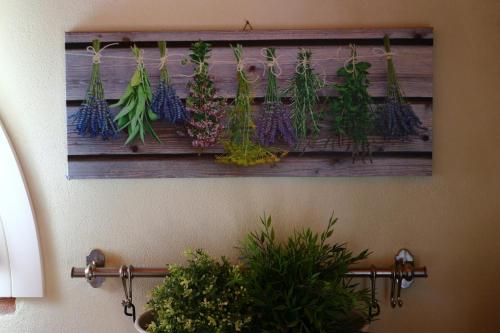 a wall with a bunch of plants hanging on it at Bed and breakfast Casa Formica in Cascina