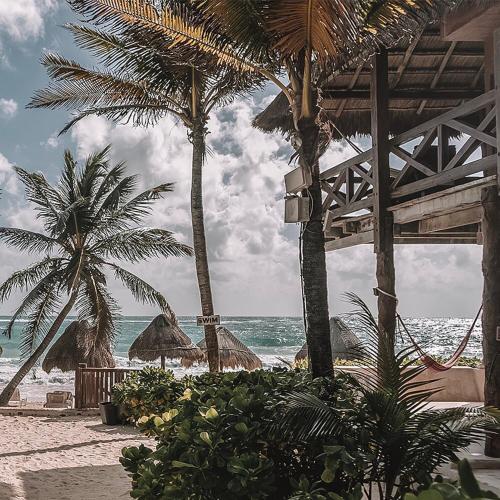 a beach with palm trees and the ocean at La Conchita Tulum in Tulum