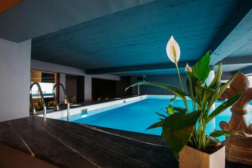 Hotel Carpe Diem Gudauri – Photos 3