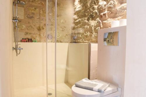 a bathroom with a shower and a toilet at Secluded Mountain Refuge - Theonimfi Paradise Gem in Dhimitsana