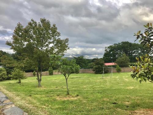 two trees in a field with a soccer ball at Pensión Xacobe in Cabreiros