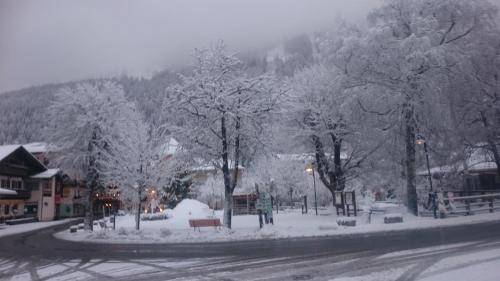 a snow covered street in a town with trees at Parkvilla Mallnitz in Mallnitz