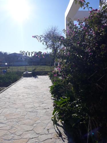 Κήπος έξω από το Villa Elli Potamos Corfu