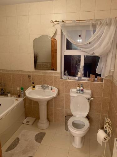 uma casa de banho com um WC, um lavatório e um espelho. em Sessiagh House em Castlefinn