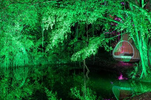 einen Teich mit Schaukel im Wald mit Bäumen in der Unterkunft Noah's Forest Hotel by Tifakara in Fortuna