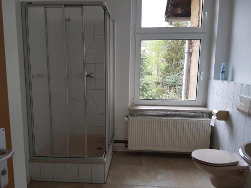 a bathroom with a shower and a toilet and a window at Ferienwohnung West - Alte Schule Sachswitz in Greiz