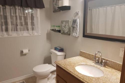 bagno con servizi igienici, lavandino e specchio di Sarnia Central Six - BIG 6 BR 2 BA - patio and BBQ a Sarnia