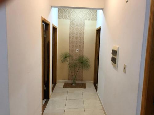 a hallway with a plant in the middle of a room at WilMar Apart Hotel in Encarnación