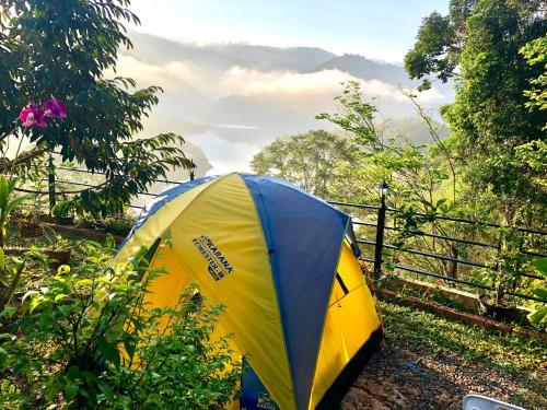 Landskap semula jadi dekat dengan homestay