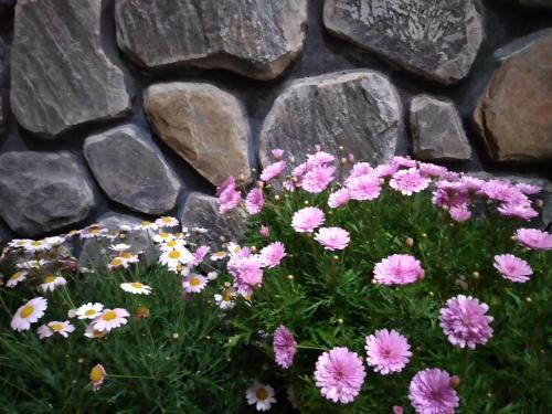 a bunch of flowers in front of a stone wall at Luan'S Villa in Da Lat