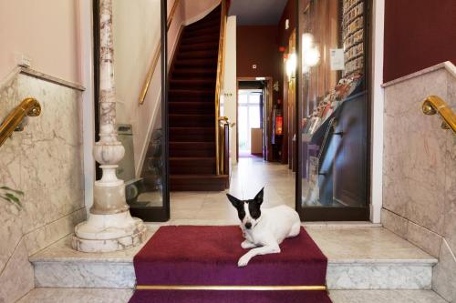 a black and white dog laying on a rug in a hallway at Hotel The Neighbour's Magnolia in Amsterdam