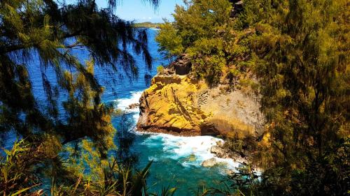 a painting of a body of water with trees at Le Gecko Vert in Manapany-les Bains