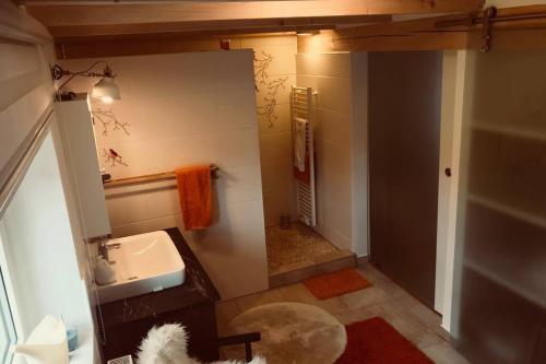 a bathroom with a sink and a shower with a mirror at Geschmackvoll eingerichtetes Haus in Rauhenebrach