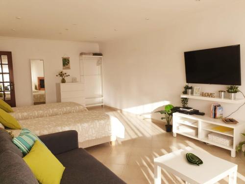 a living room with a couch and a flat screen tv at Sunny Setúbal Apartments in Setúbal