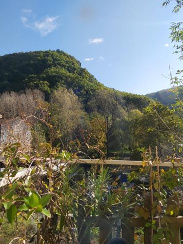 Φυσικό τοπίο κοντά σε αυτό το δωμάτιο σε οικογενειακή κατοικία