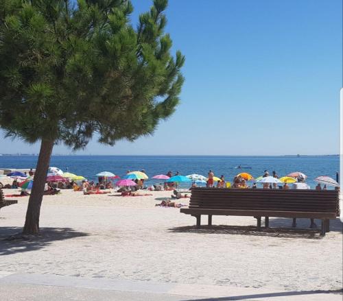 Sunny Setúbal Apartments