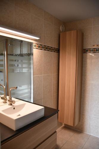 ウェンドゥイネにあるRes. Christopheのバスルーム(洗面台、ガラス張りのシャワー付)
