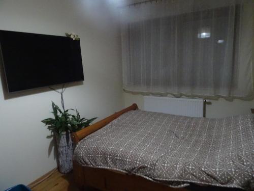 sypialnia z łóżkiem i telewizorem z płaskim ekranem w obiekcie Apartament w centrum, garaż i jakuzzi w cenie we Wrocławiu